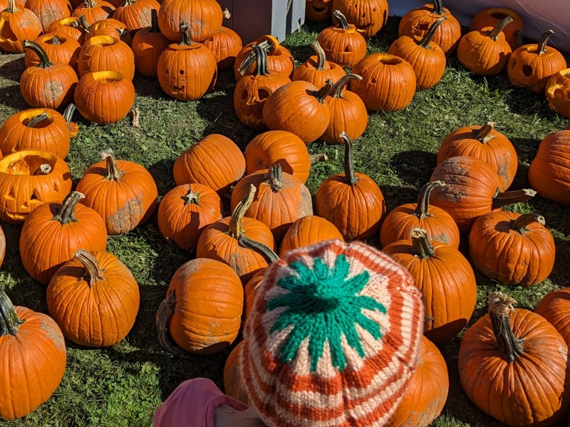 Battersea Pumpkin Festival This Saturday