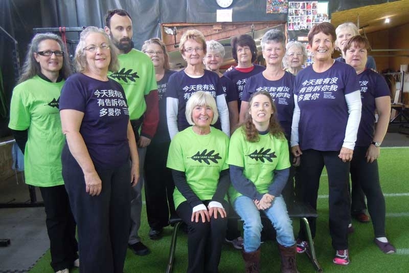 Iron Maidens And New Leaf Linkers Benefit From Qigong