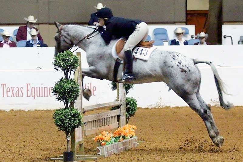 Local trio beat the odds at Appaloosa Youth World Show in Fort Worth, Texas