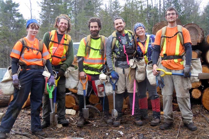 Maintaining The Mazinaw/Lanark Forest
