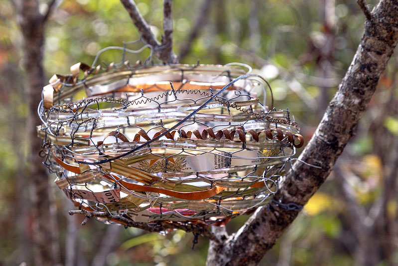 3rd Annual Wild Art Walk at Milburn Creek Conservation Area