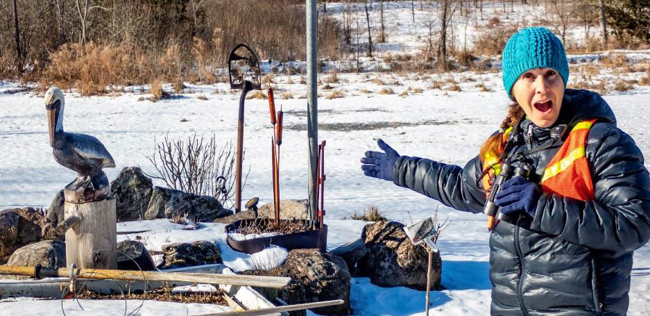 Frontenac Christmas Bird Count - 10 Years and Counting
