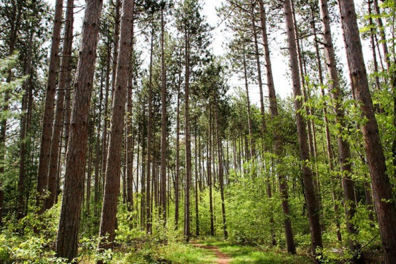 Quinte Woodlot Conference