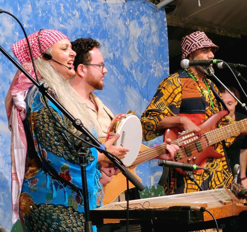 Sweet Music and Some hard Truths At Blue Skies MusicFestival