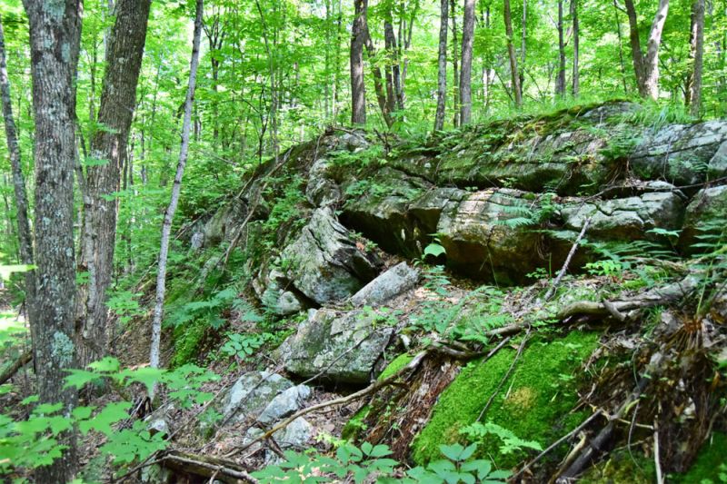 The Mississippi Land Trust is Working Hard to Acquire 2 New Properties In North Frontenac