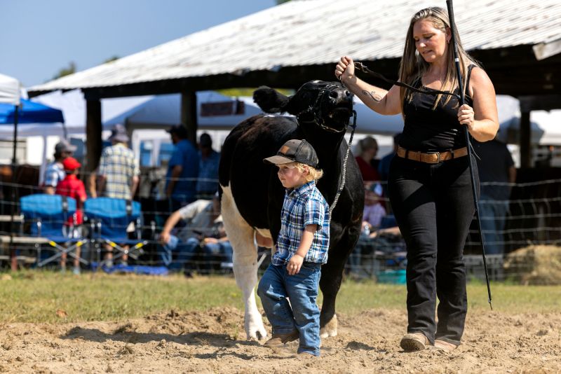 The Sun Shines On The Parham Fair