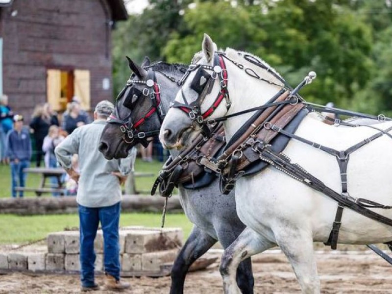 Parham Fair Celebrates 133 Years Ion Spite of Setback
