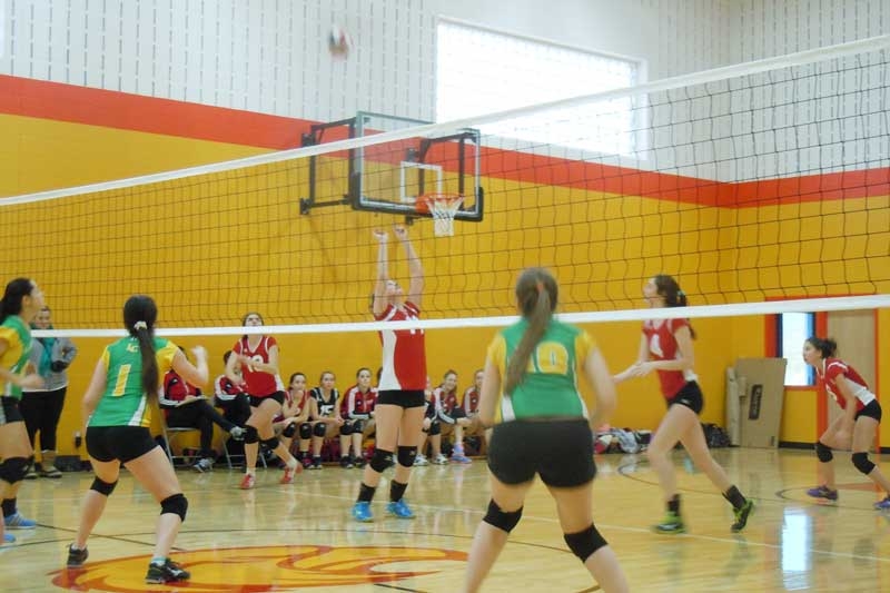 Sydenham High School Volleyball: setting it up for success