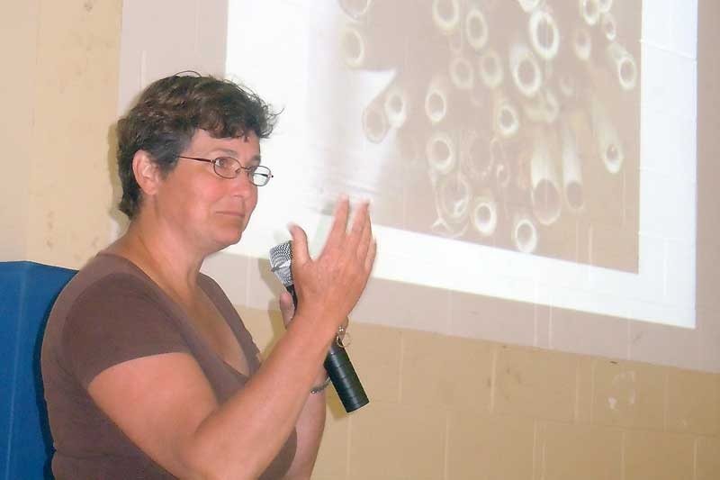 The buzz about bees