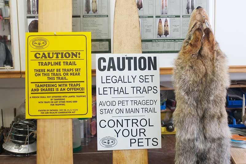 Trappers Deal With Concerns Over Loss of Dogs