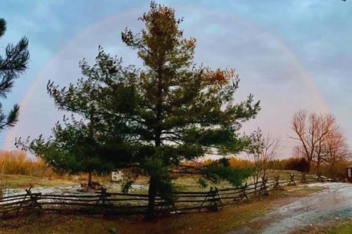 Rainbow over Rainbow Farm