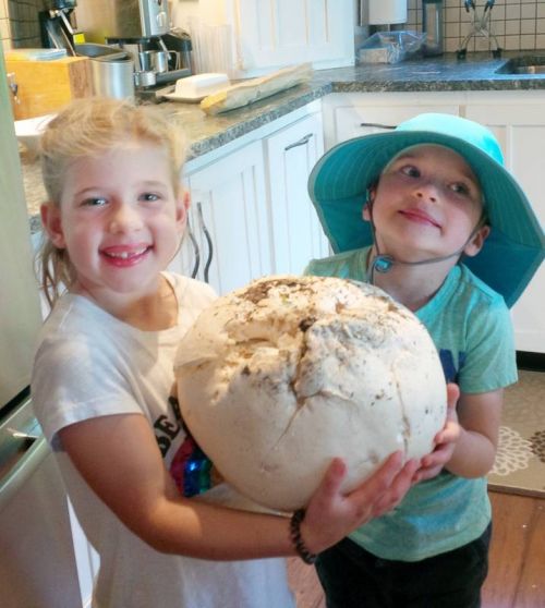 Adelyn, 7, and Thomas, 6, proudly display the big puffball they found on a walk with their grandpa Jim Hendry.