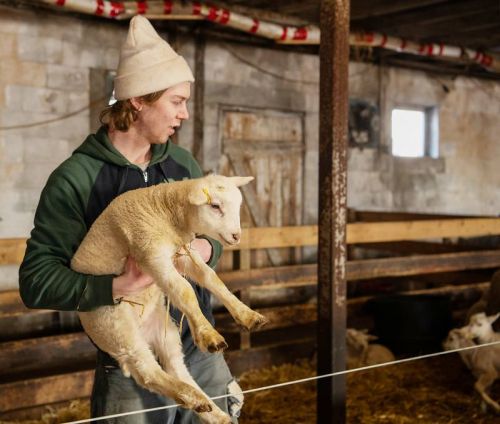 BATTERSEA, Ont. (26/02/2021) - Craig Voith bought his farm with his parents and his brother when he was 17 in 2012. Now he is the main caretaker of Sugar Hill Rideaus where he raises sheep. His brother and parents still help when they can but he is the only full-time caretaker. “We grew up on a farm so it’s like second nature to us,” he says. Photo by Daniel Geleyn