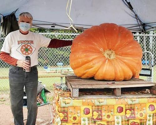 Bruce Downey and his 503 pound pumpkin.