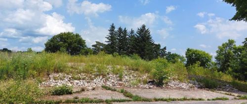 A weed covered pile of rubble is all that remains of the former Sharbot Lake Public School.