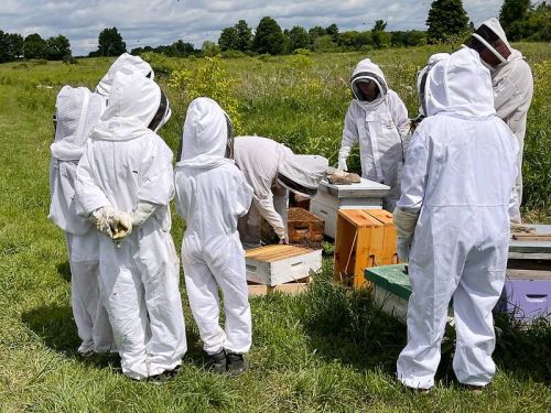 The Bee Spot offers tours, educating the public on bees and pollinator health.